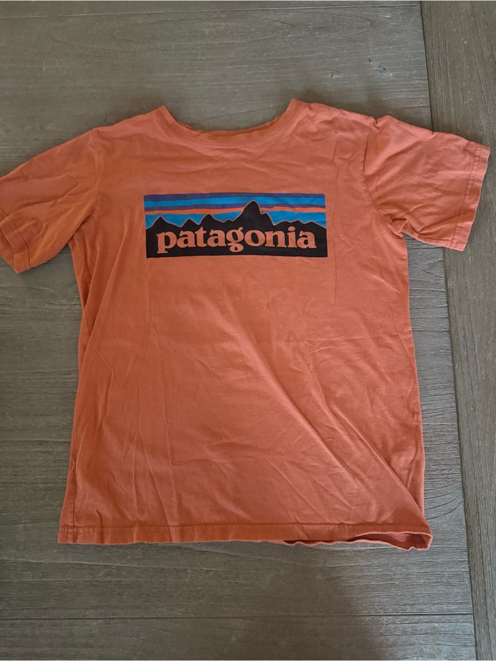 Patagonia Coral Orange Graphic Logo Tee with Blue Accents Size 10